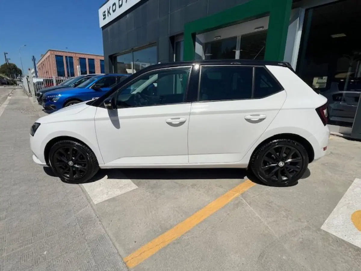 Skoda Fabia usata a Ascoli Piceno (14)