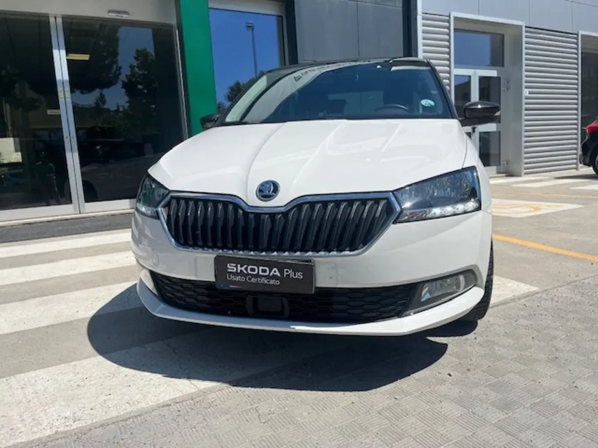 Skoda Fabia usata a Ascoli Piceno (5)