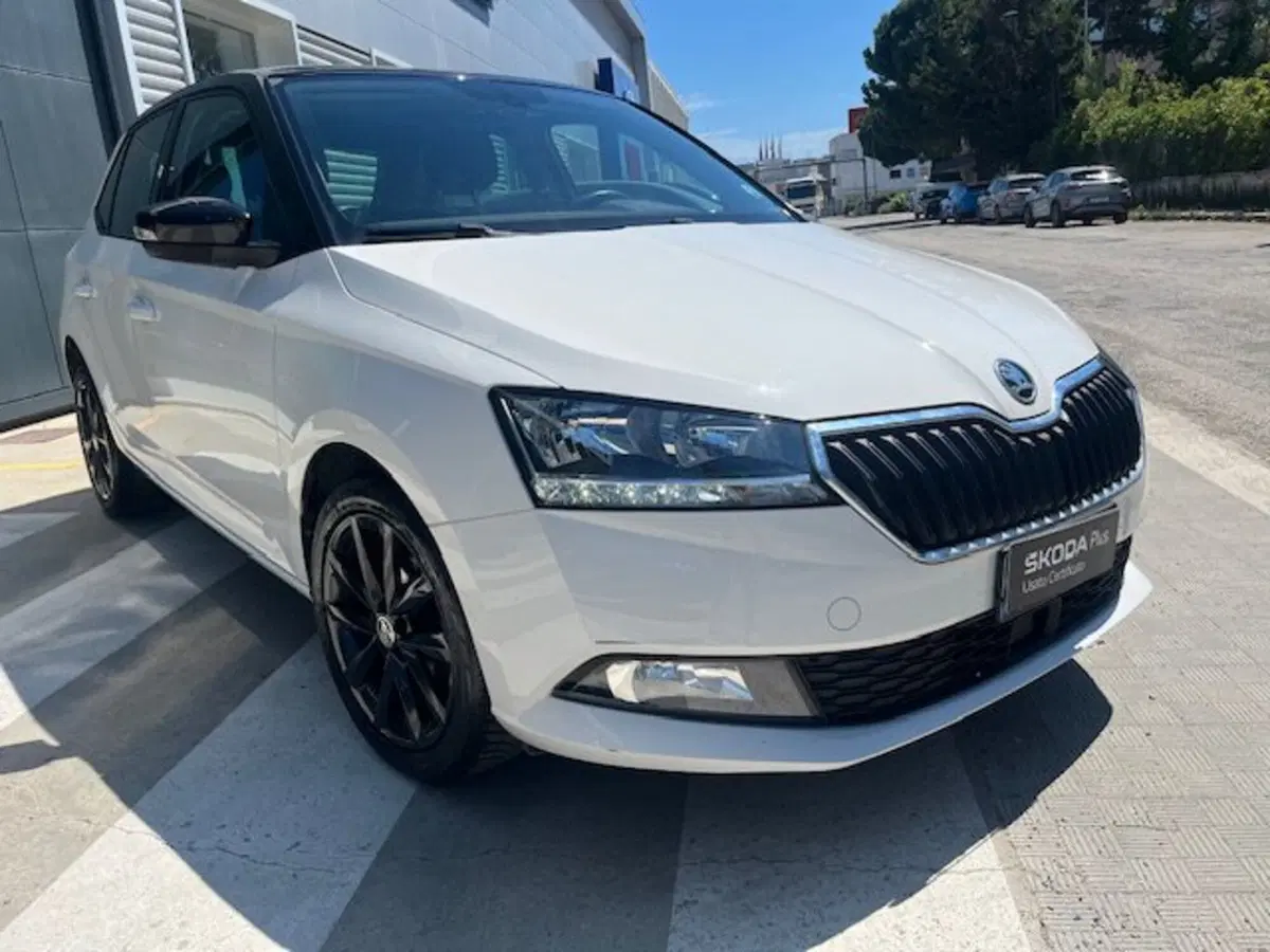 Skoda Fabia usata a Ascoli Piceno (6)