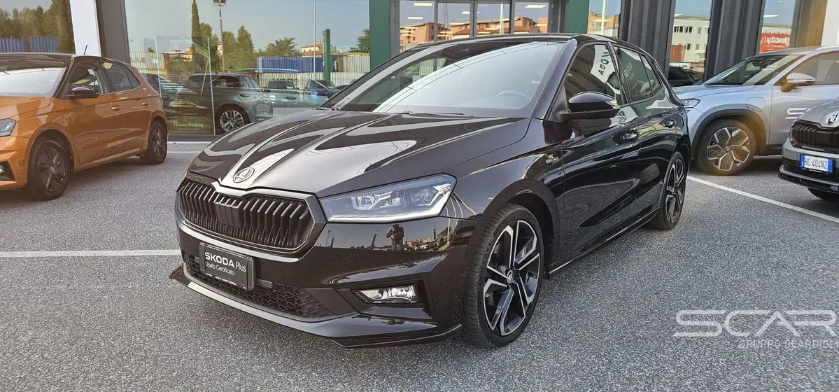 Skoda Fabia usata a Livorno