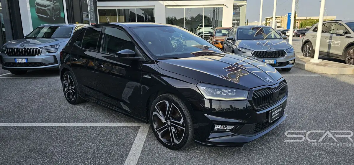Skoda Fabia usata a Livorno (8)