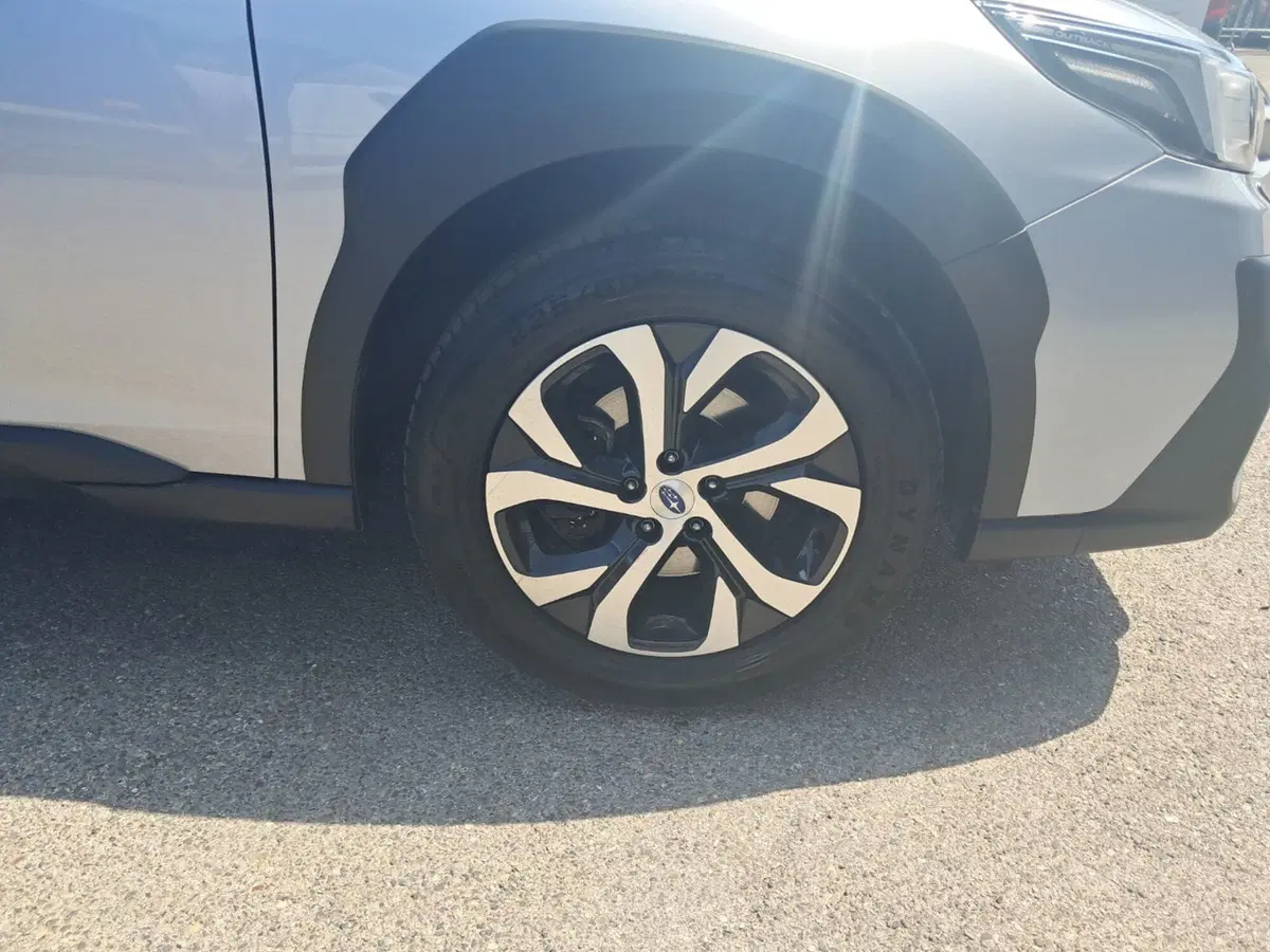 Subaru Outback usata a Bologna (9)