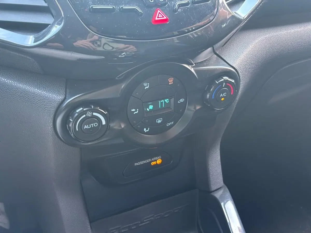 Ford EcoSport usata a Bologna (12)