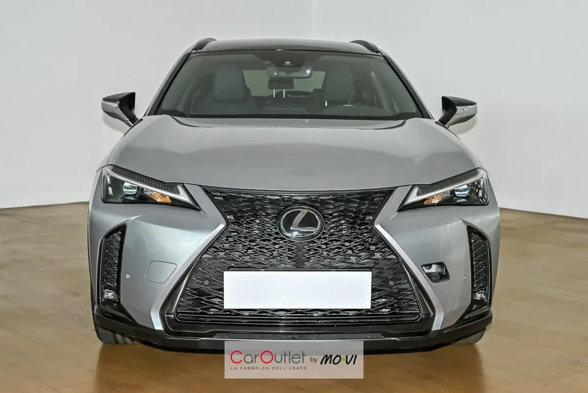 Lexus UX usata a Torino (2)