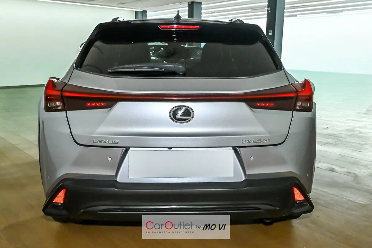Lexus UX usata a Torino (5)