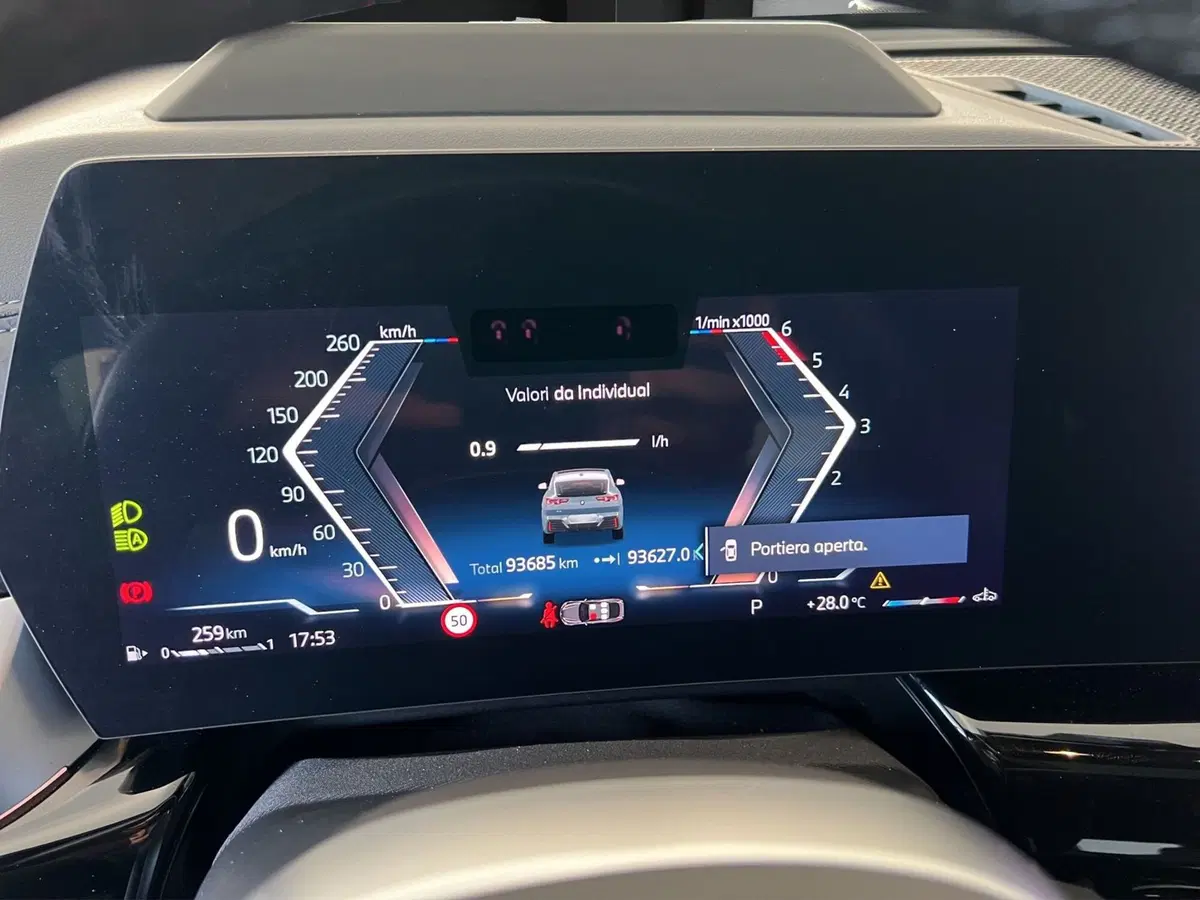 BMW X2 usata a Cosenza (11)