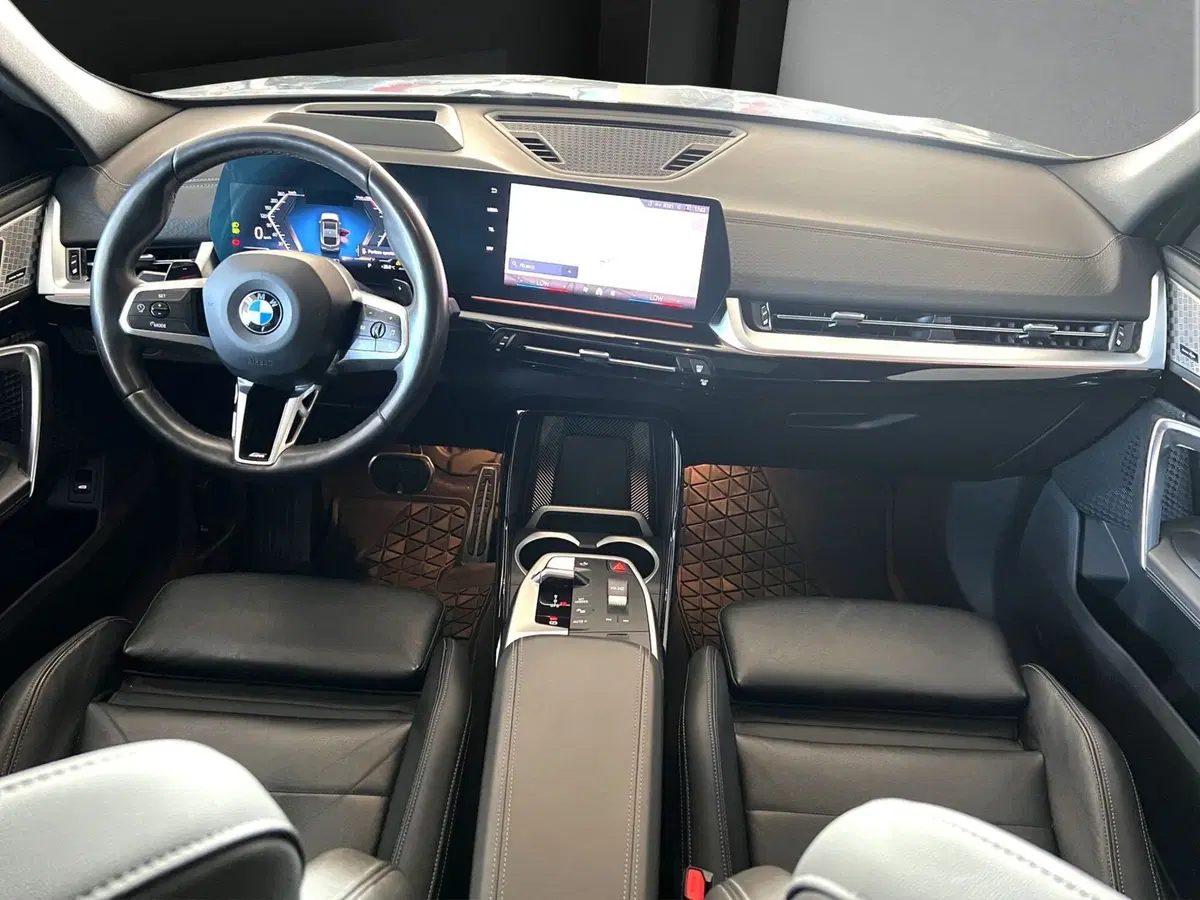 BMW X2 usata a Cosenza (14)