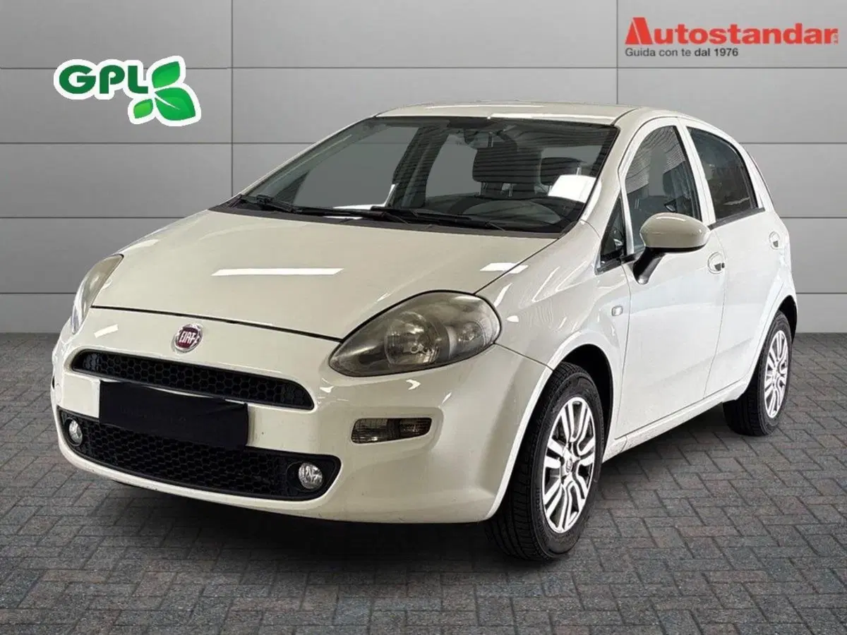 Fiat Punto usata a Torino