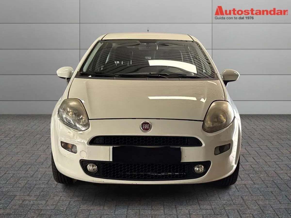 Fiat Punto usata a Torino (2)