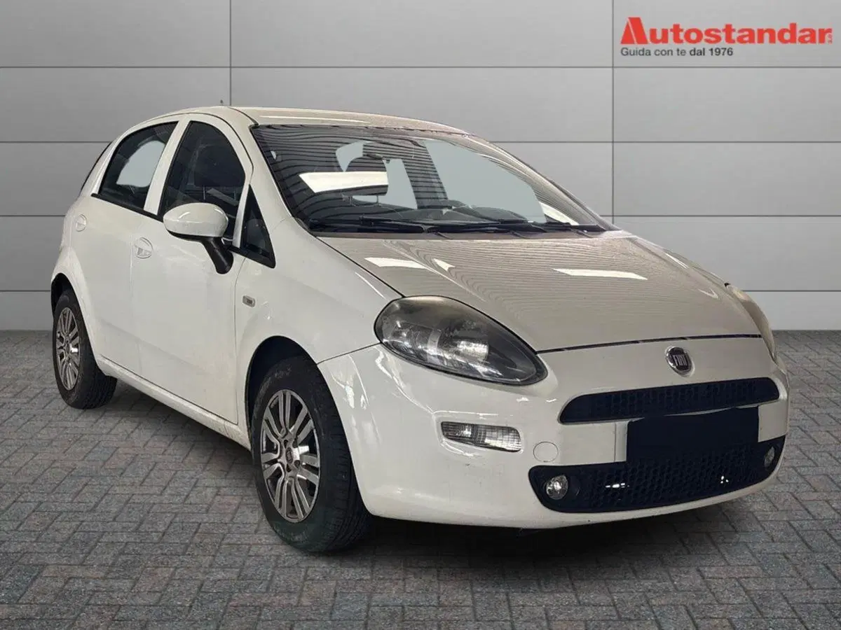 Fiat Punto usata a Torino (3)