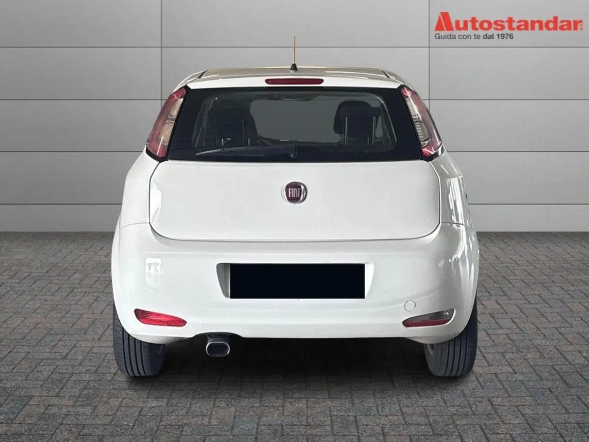 Fiat Punto usata a Torino (5)