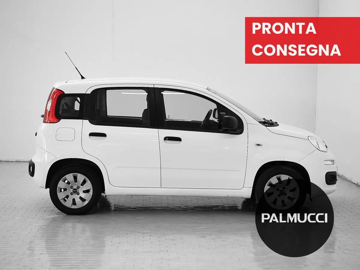 Fiat Panda usata a Prato (3)
