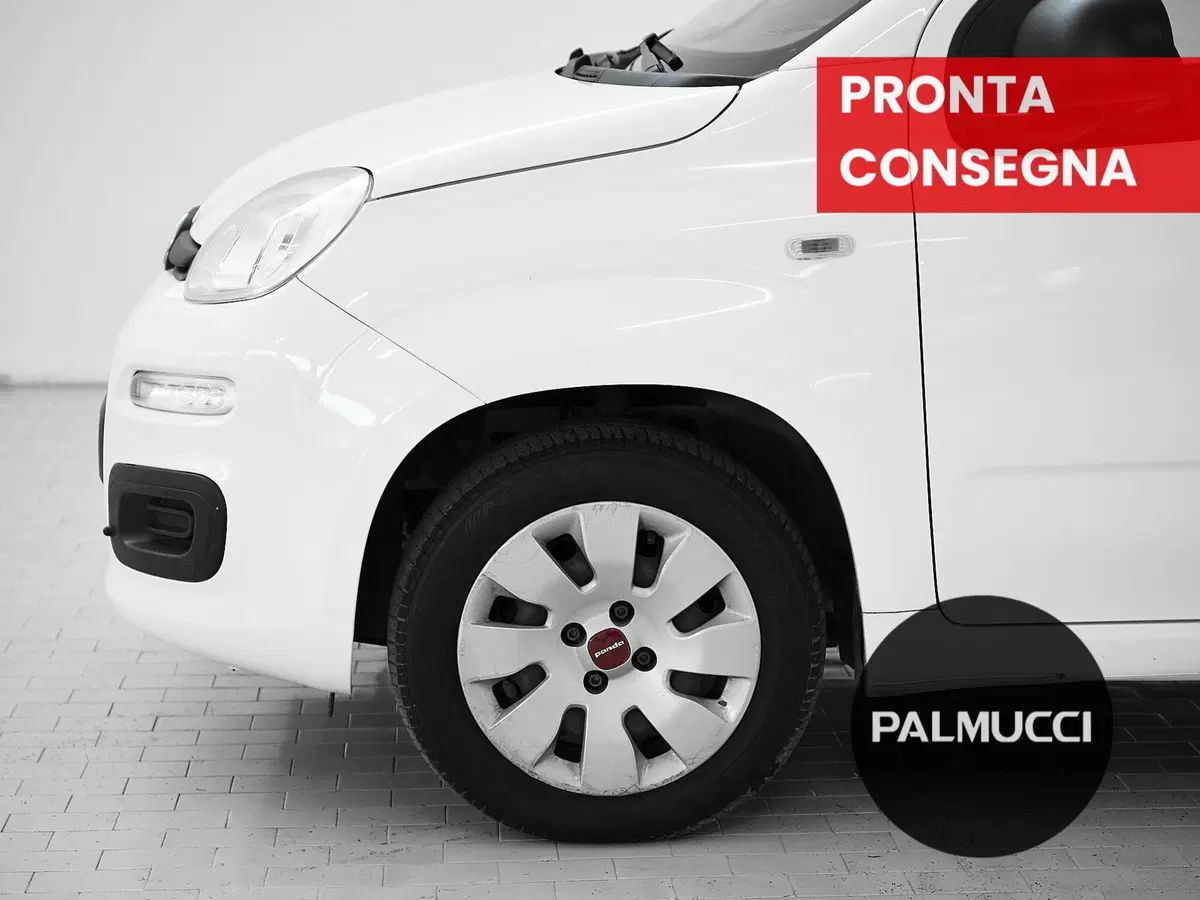 Fiat Panda usata a Prato (6)