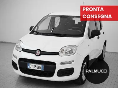 Fiat Panda 1.2 Easy del 2015 usata a Prato