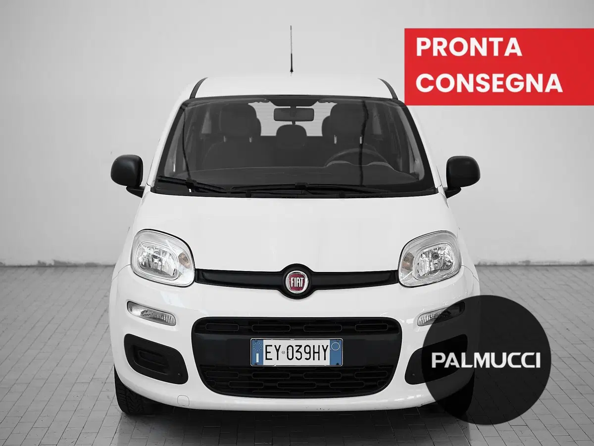 Fiat Panda usata a Prato (2)