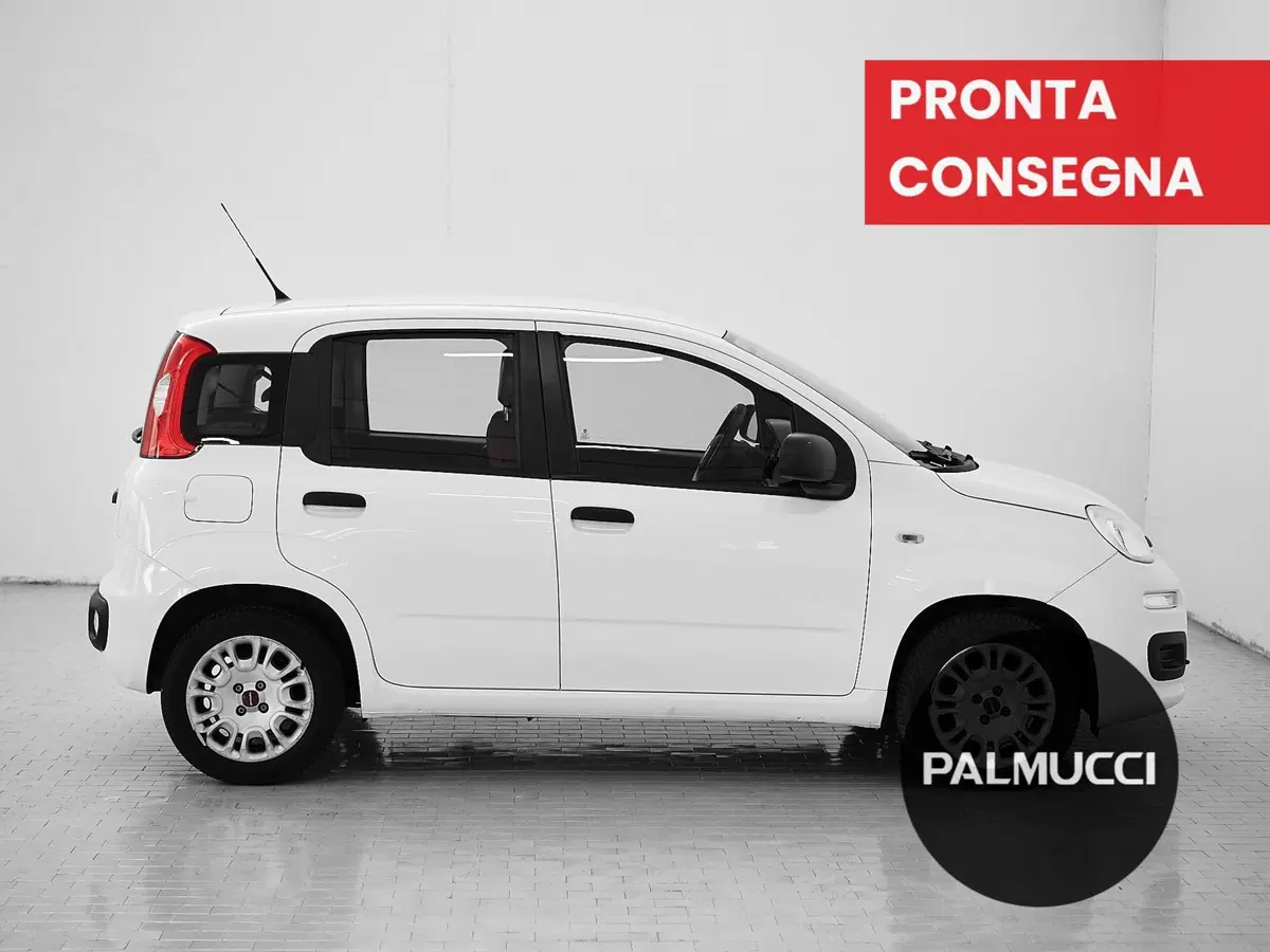 Fiat Panda usata a Prato (4)