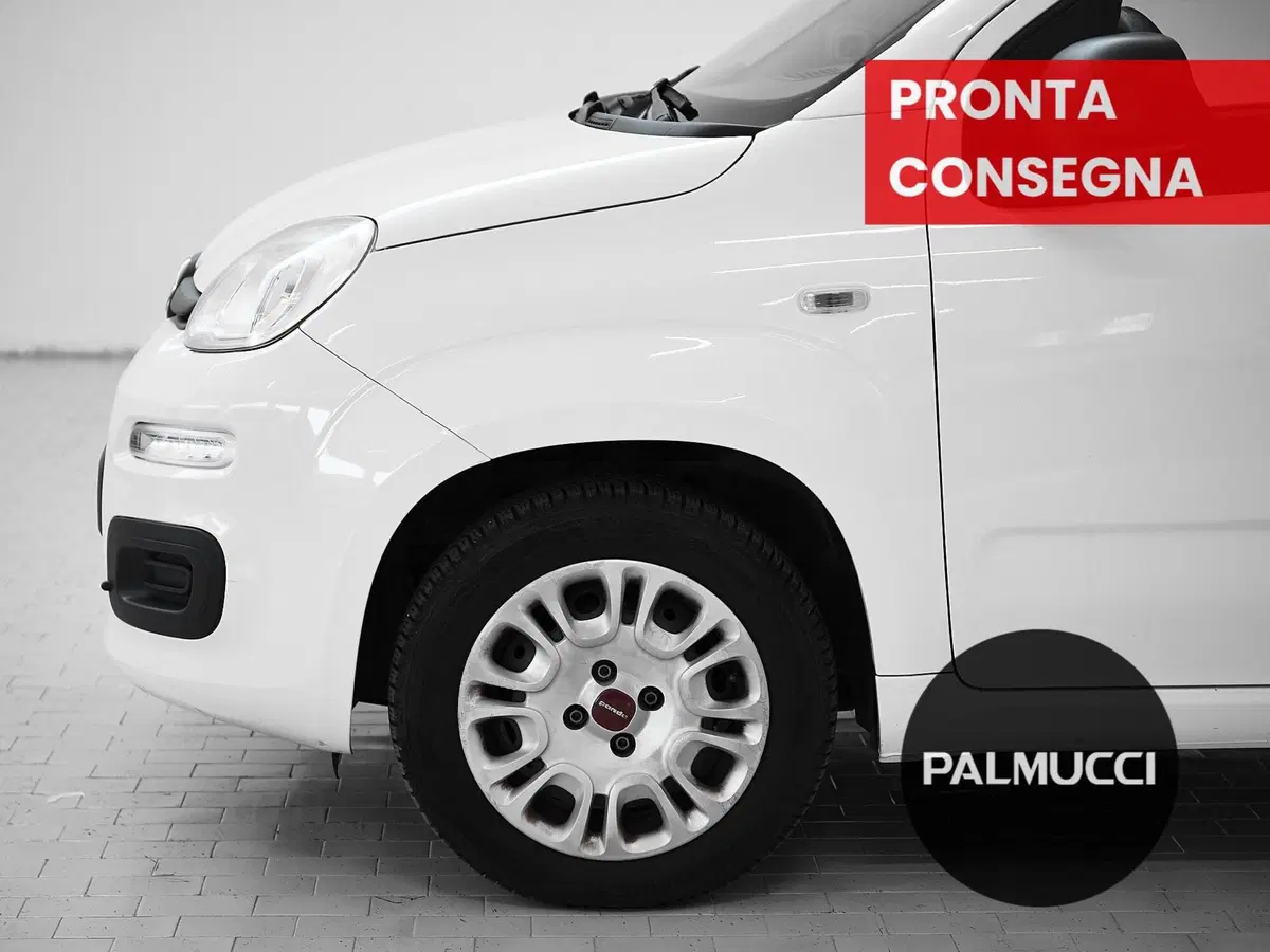 Fiat Panda usata a Prato (6)