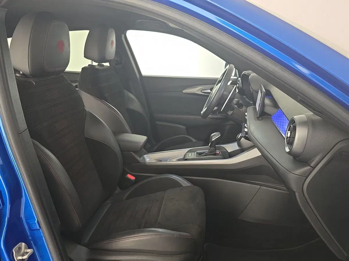 Alfa Romeo Tonale usata a Asti (12)