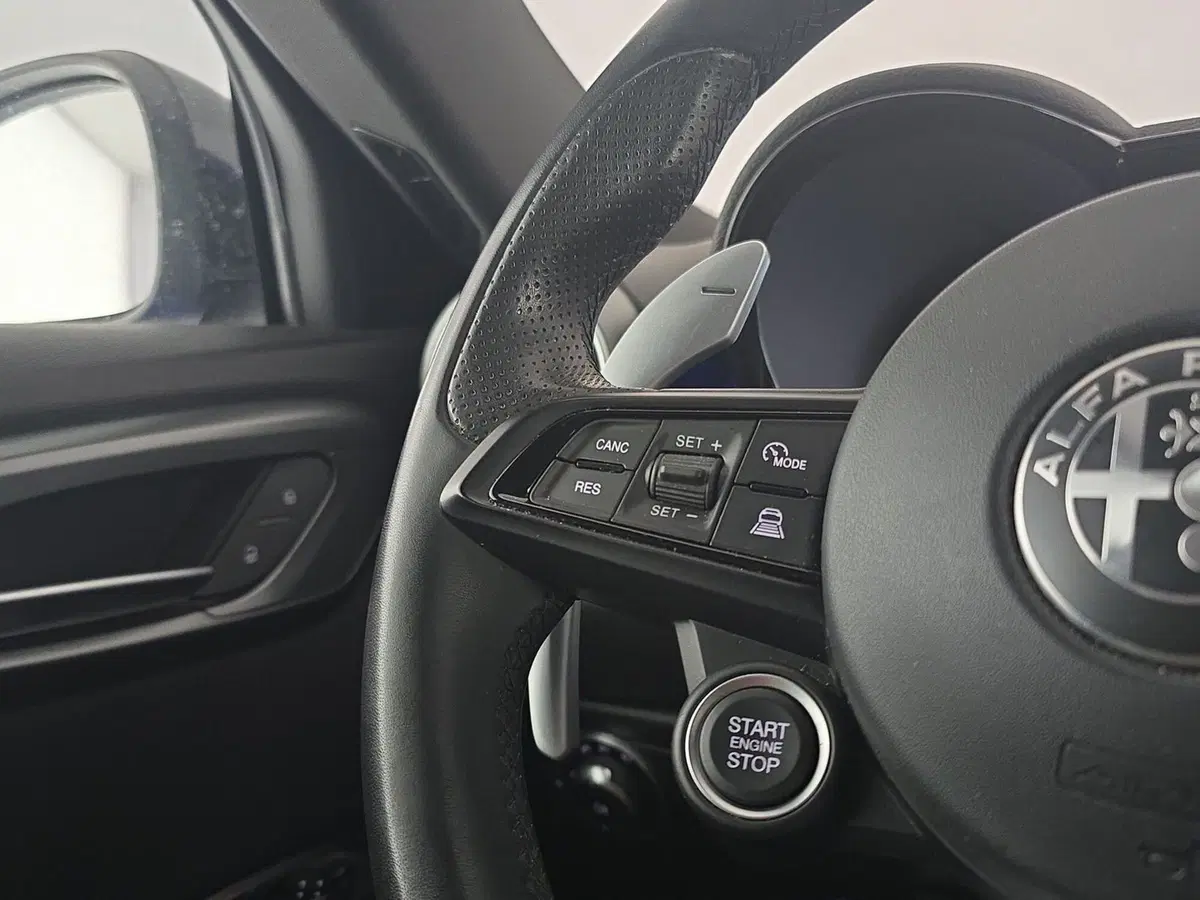 Alfa Romeo Tonale usata a Asti (15)