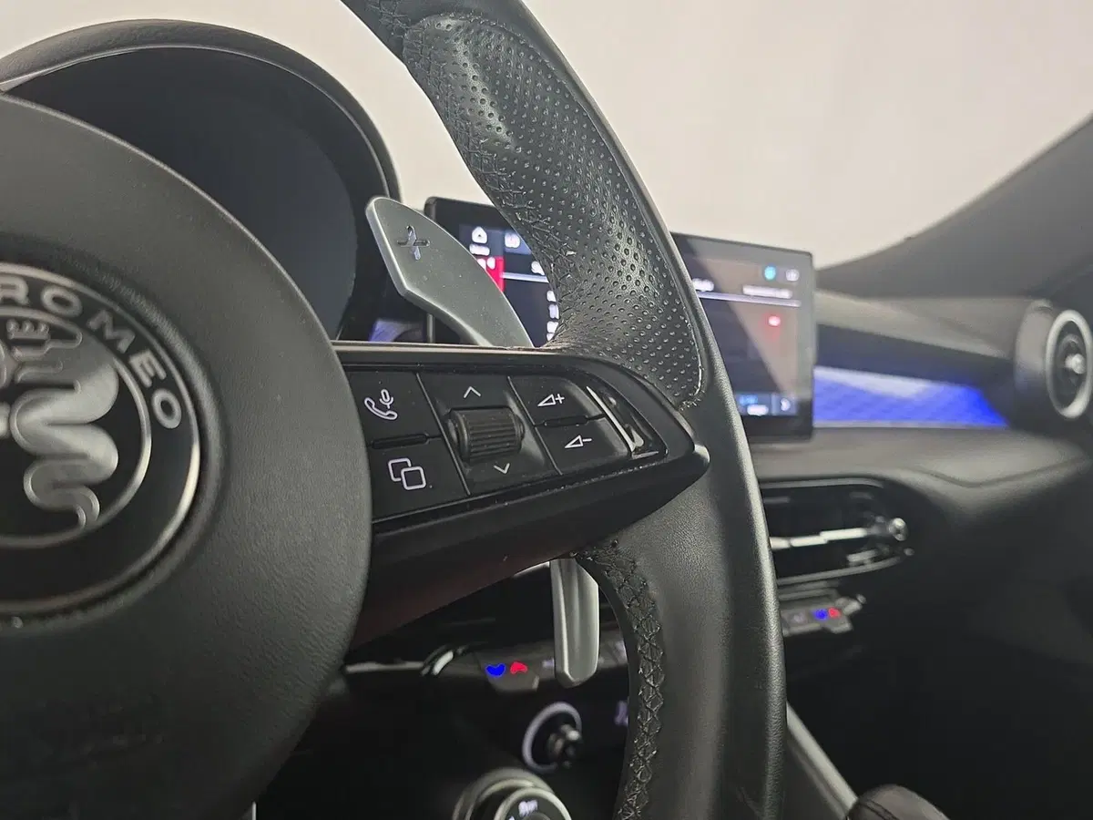 Alfa Romeo Tonale usata a Asti (16)