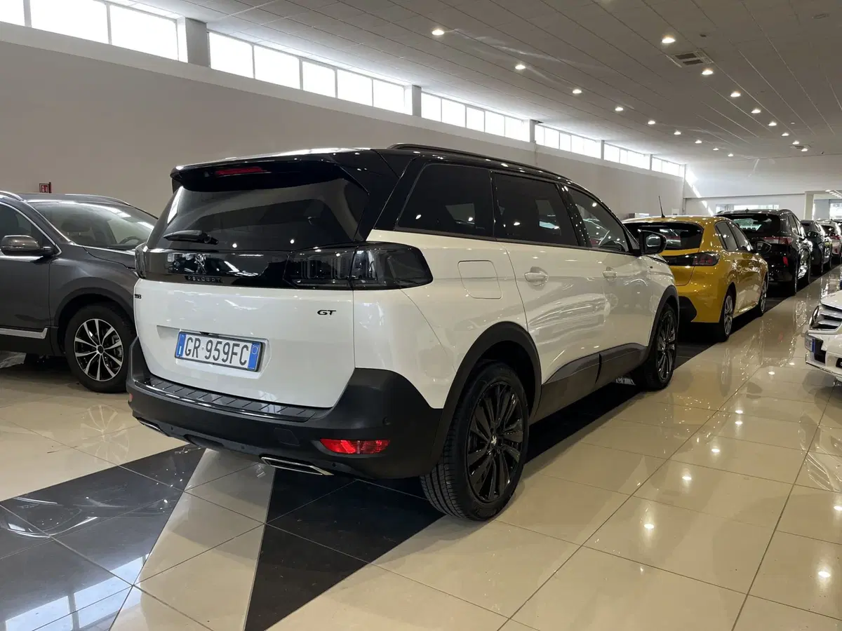 Peugeot 5008 usata a Vercelli (3)