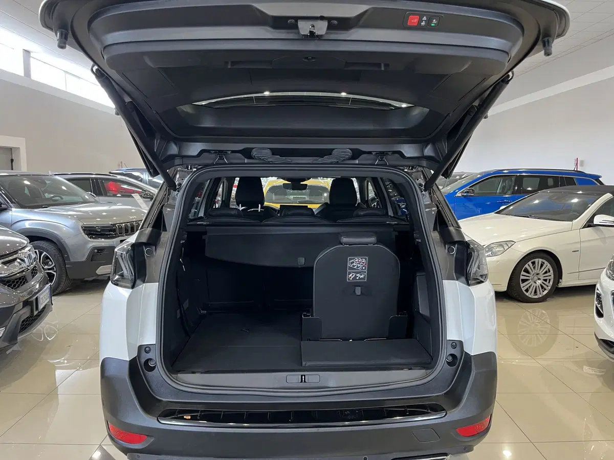 Peugeot 5008 usata a Vercelli (5)
