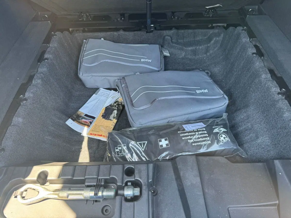 BMW X6 usata a Salerno (13)