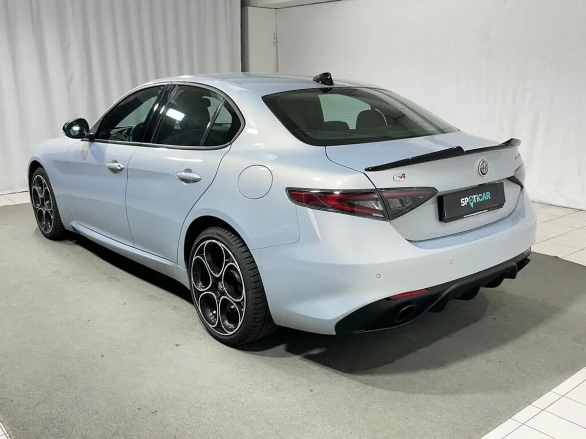 Alfa Romeo Giulia usata a Sondrio (3)