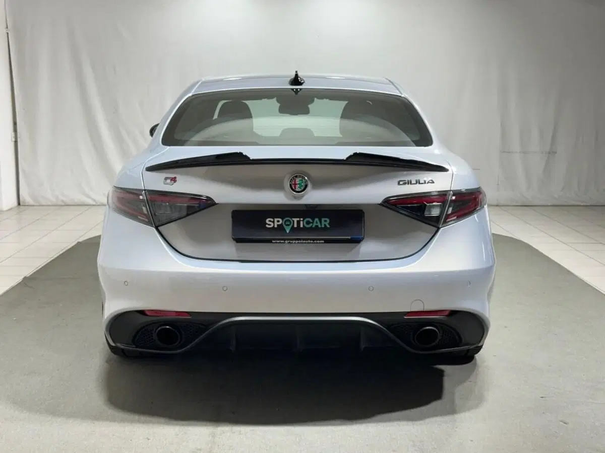 Alfa Romeo Giulia usata a Sondrio (4)