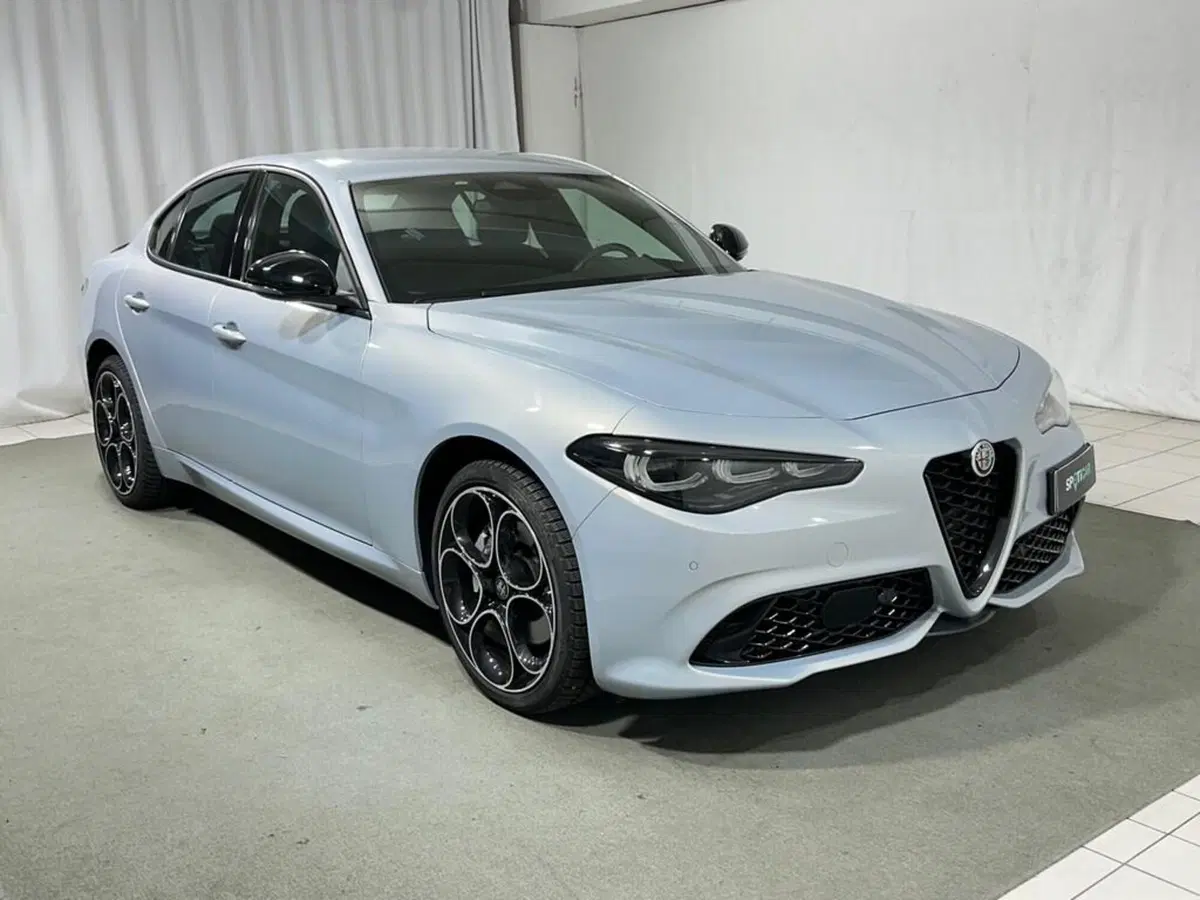 Alfa Romeo Giulia usata a Sondrio (7)