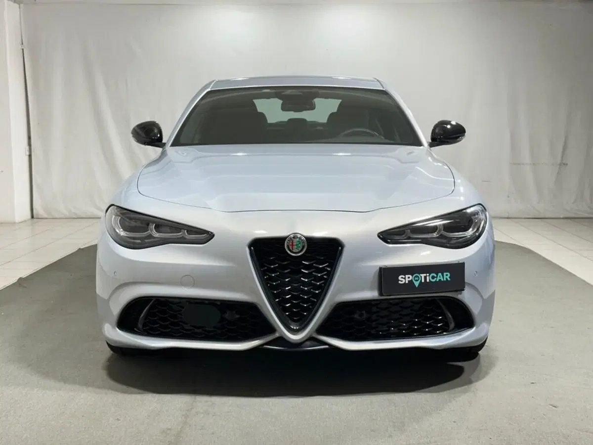 Alfa Romeo Giulia usata a Sondrio (8)