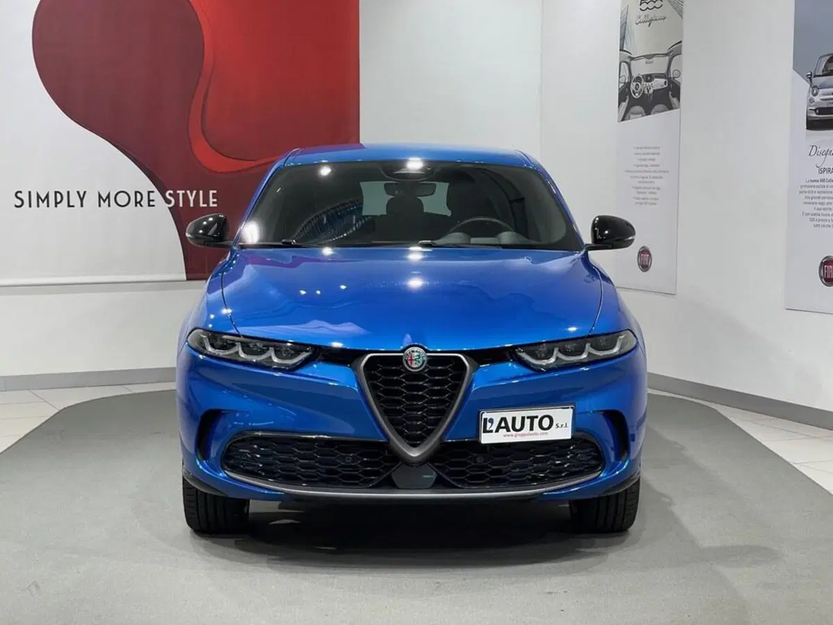 Alfa Romeo Tonale usata a Sondrio (8)