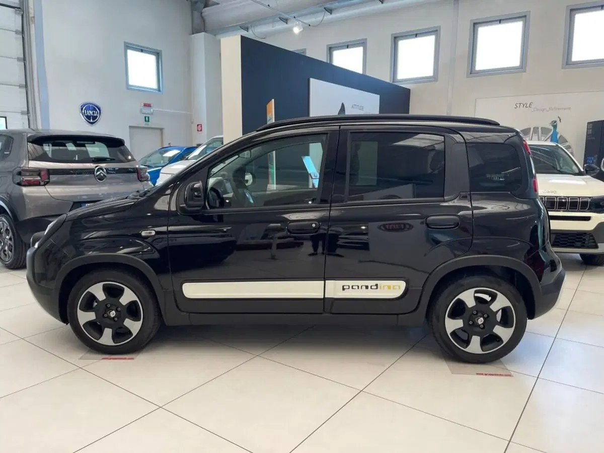 Fiat Pandina nuova a Sondrio (2)
