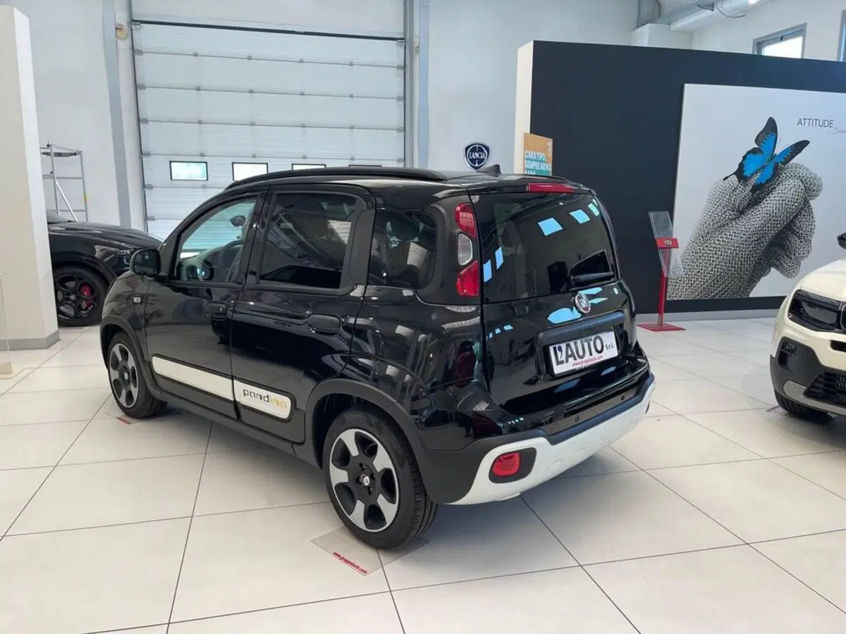 Fiat Pandina nuova a Sondrio (3)