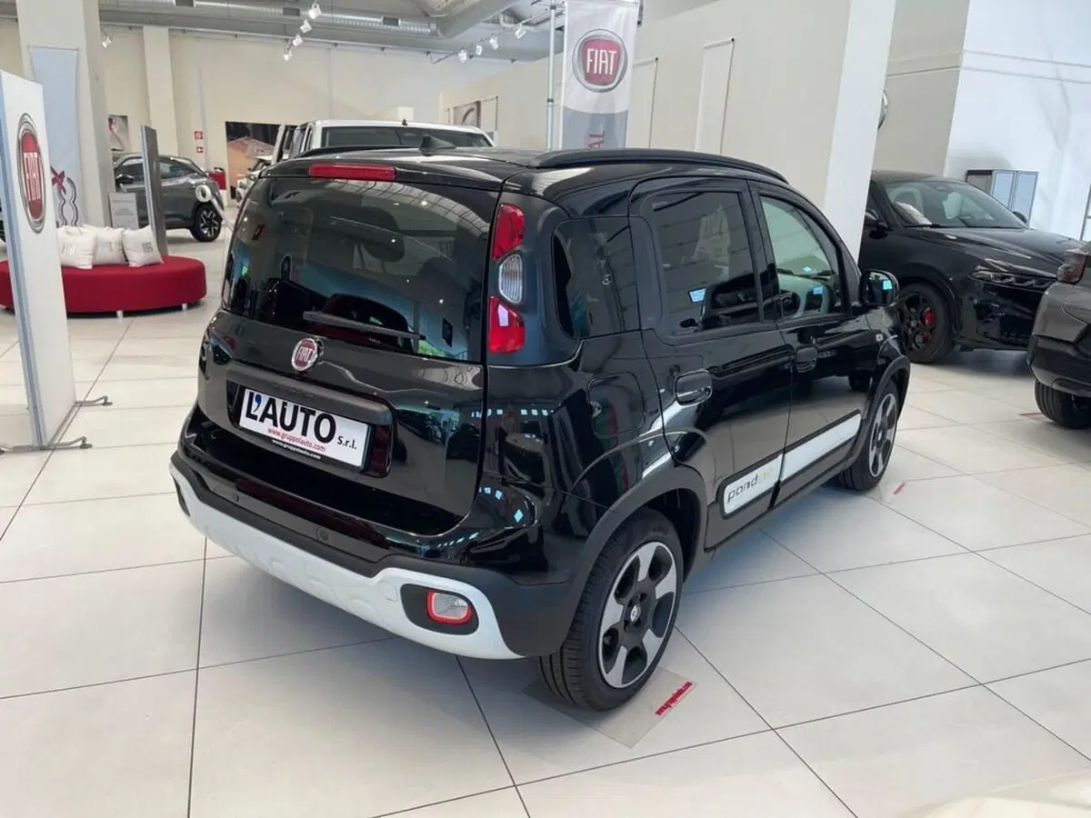 Fiat Pandina nuova a Sondrio (5)