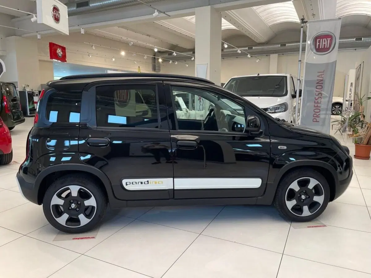 Fiat Pandina nuova a Sondrio (6)