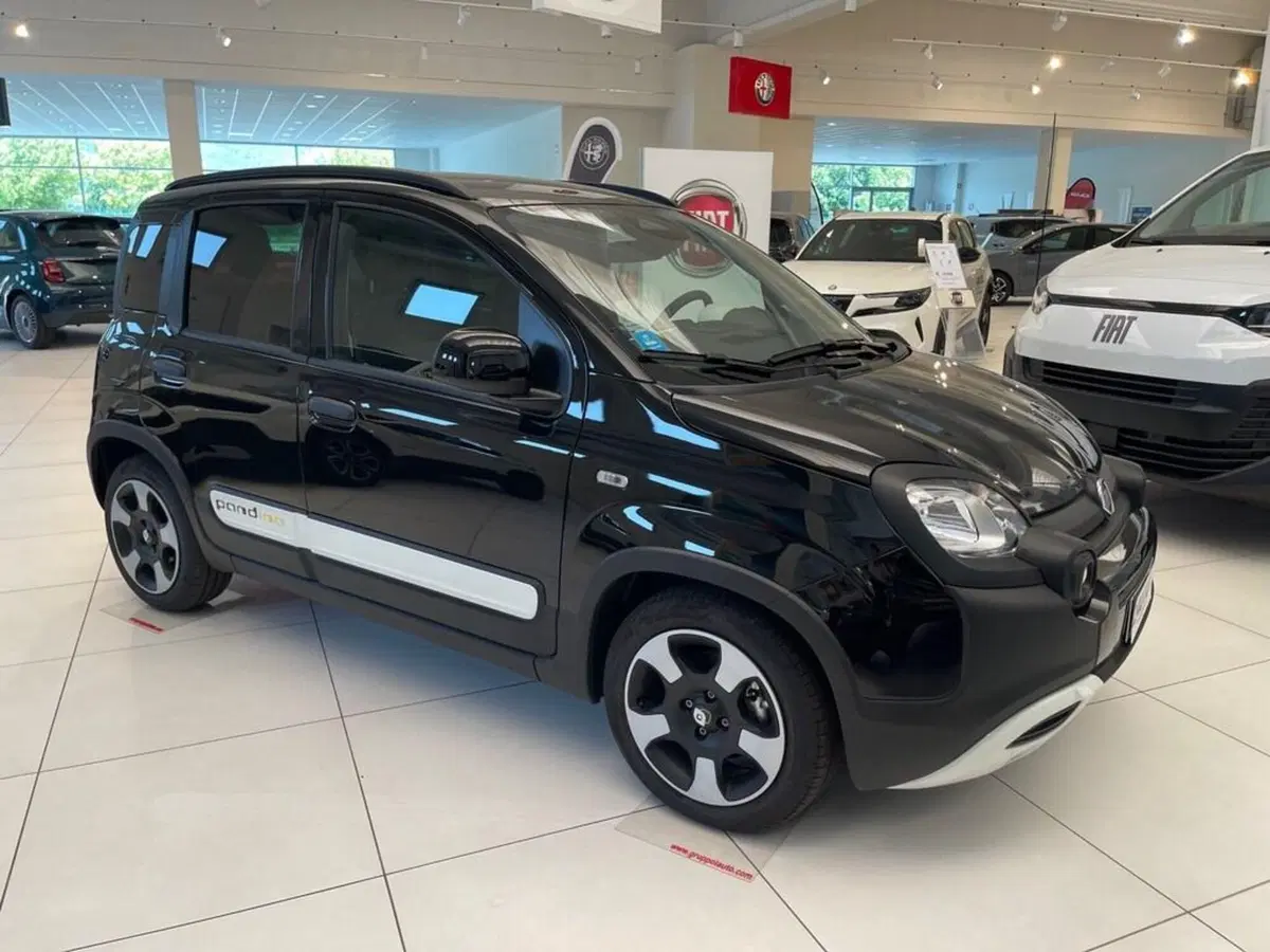 Fiat Pandina nuova a Sondrio (7)