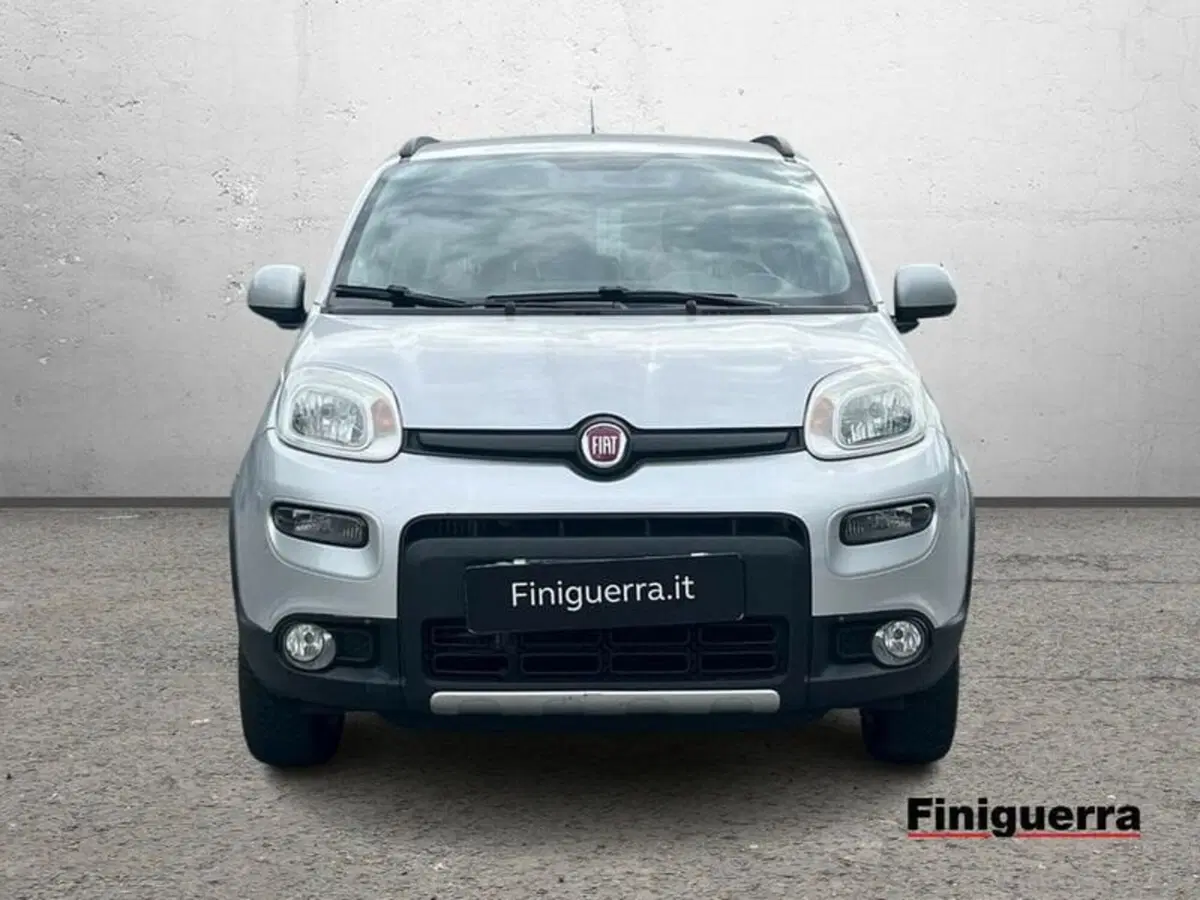 Fiat Panda usata a Sondrio (2)
