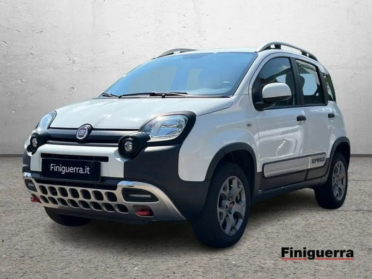 Fiat Panda usata a Sondrio
