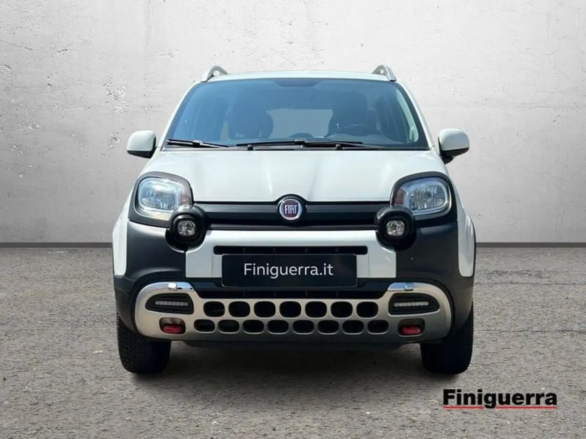 Fiat Panda usata a Sondrio (2)