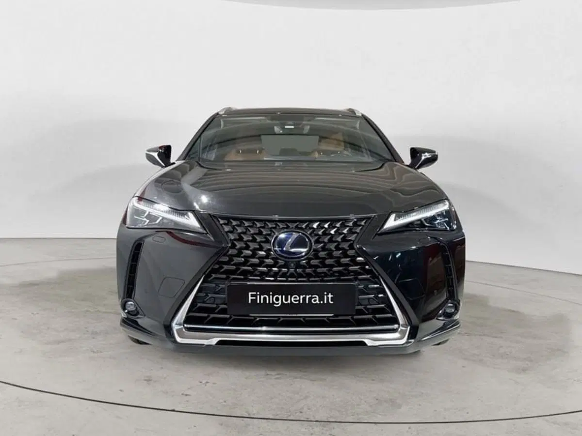 Lexus UX usata a Sondrio (2)
