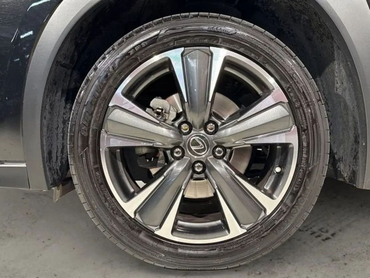 Lexus UX usata a Sondrio (3)