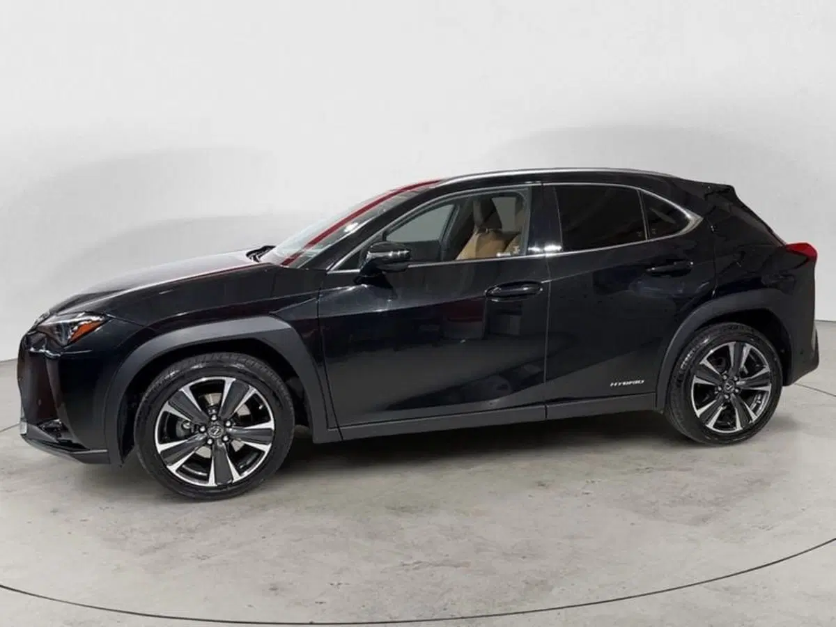 Lexus UX usata a Sondrio (5)