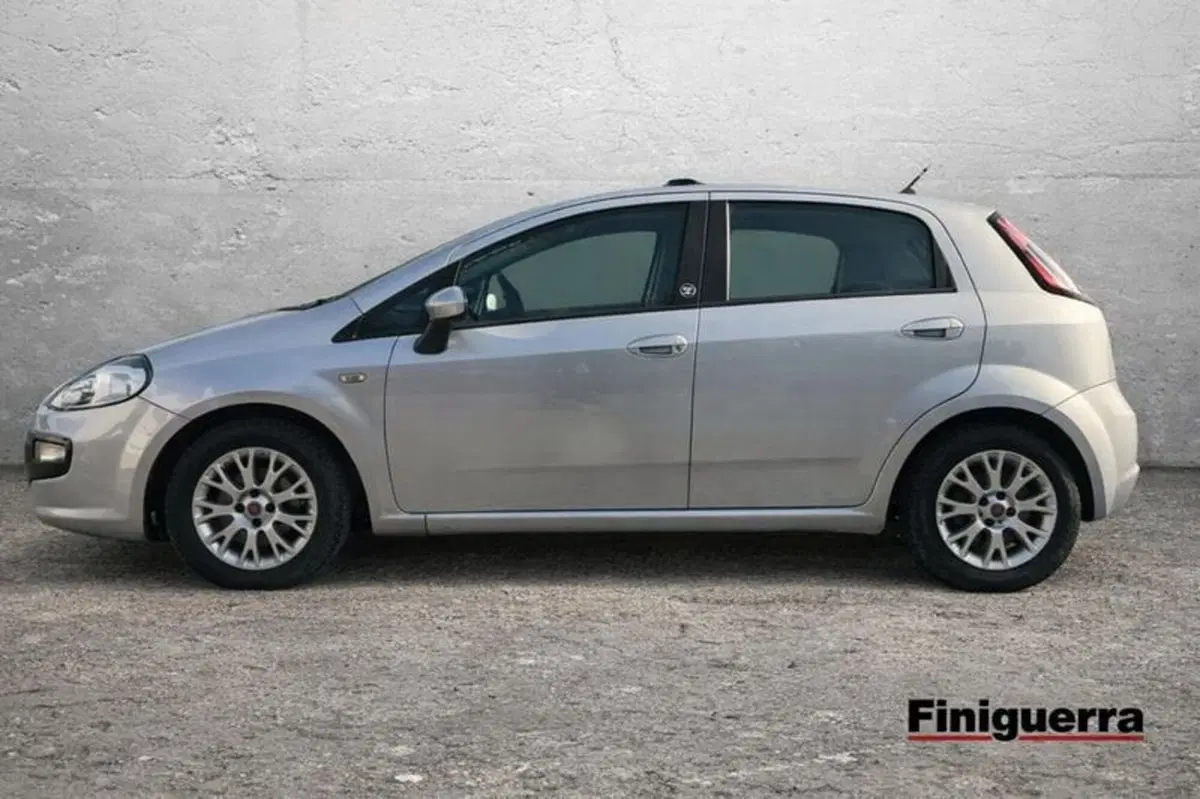 Fiat Punto Evo usata a Sondrio (2)