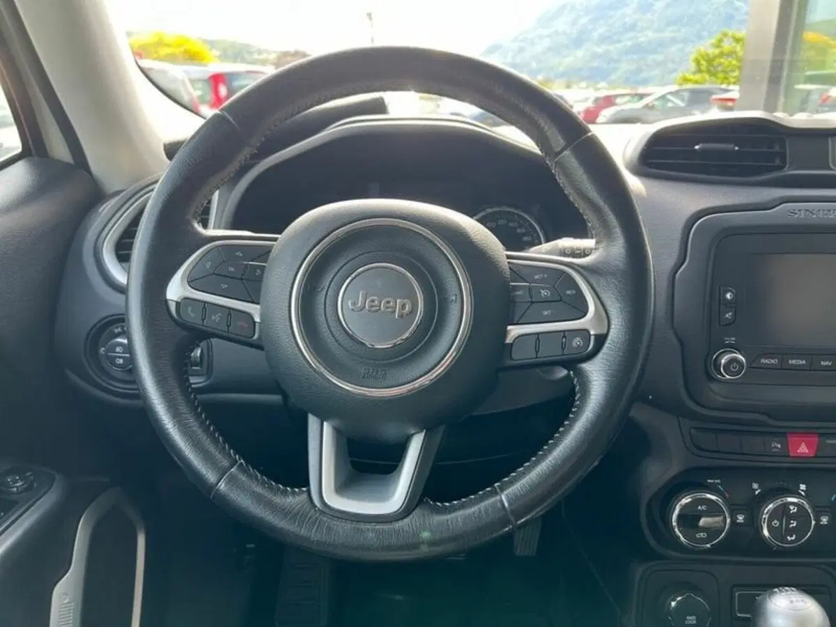 Jeep Renegade usata a Sondrio (15)