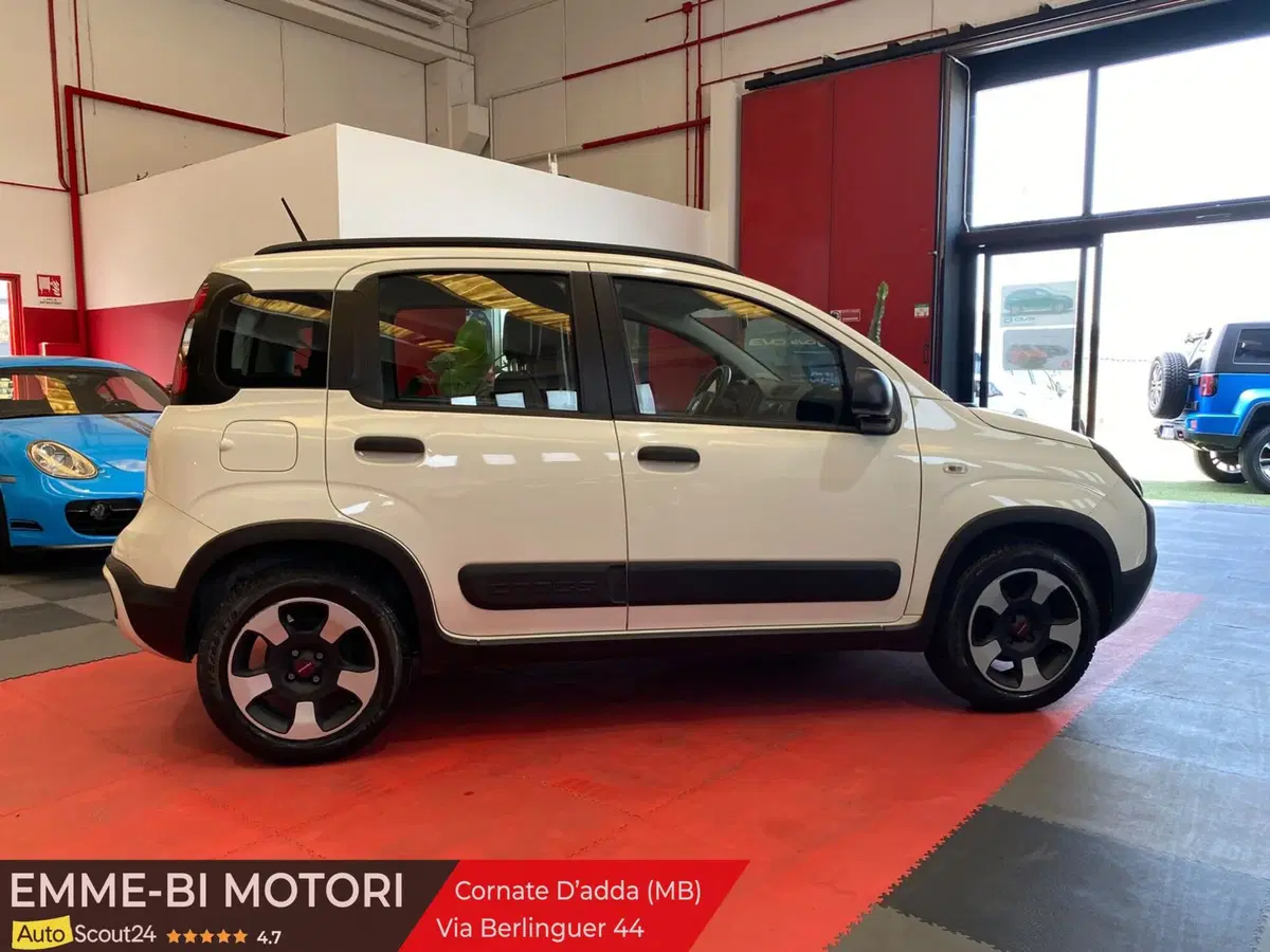 Fiat Panda usata a Monza e Brianza (2)