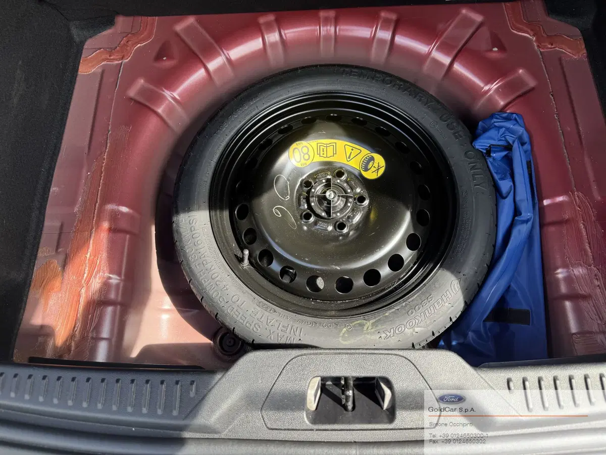 Ford Focus usata a Torino (12)