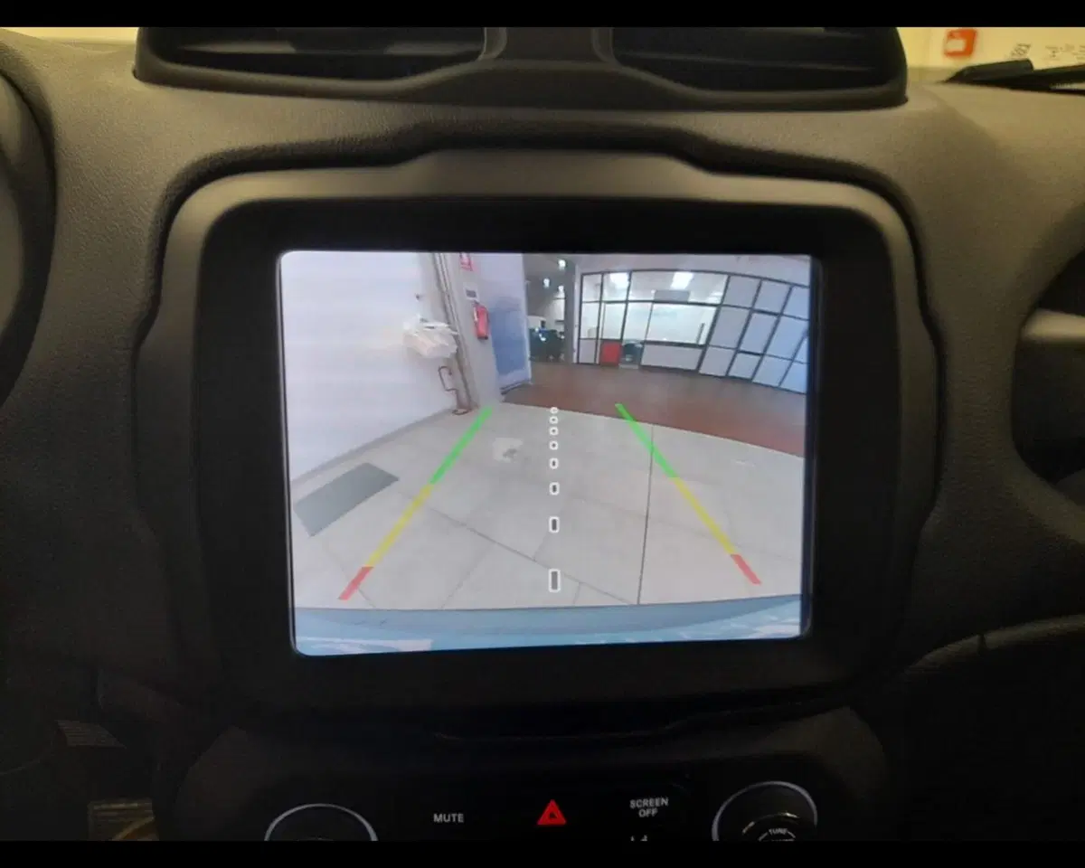 Jeep Renegade usata a Alessandria (12)