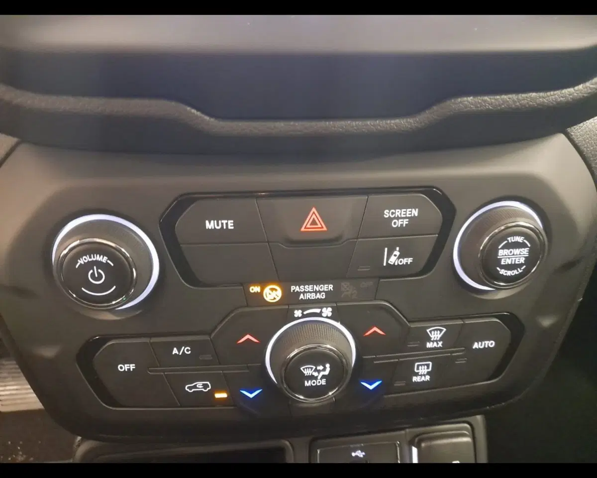 Jeep Renegade usata a Alessandria (13)