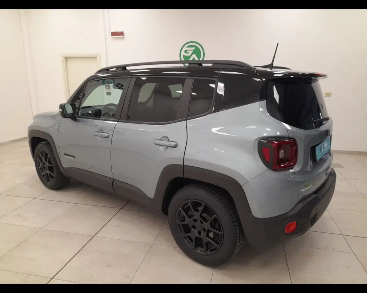 Jeep Renegade usata a Alessandria (3)
